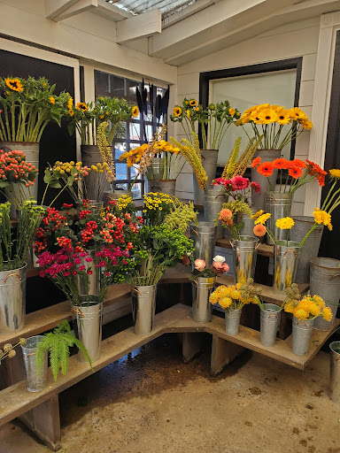 Devynn's Garden - Visual
