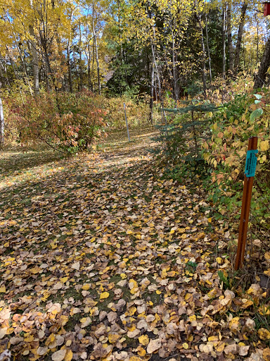 Whitegull Trails Gallery - Canada