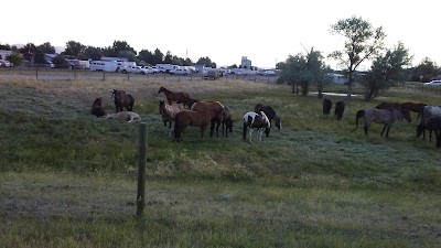 Three Forks Rodeo