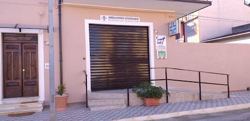 NUOVA SEDE Ambulatorio Veterinario Dott. RINALDI GIOVANNINO - Thumbnail