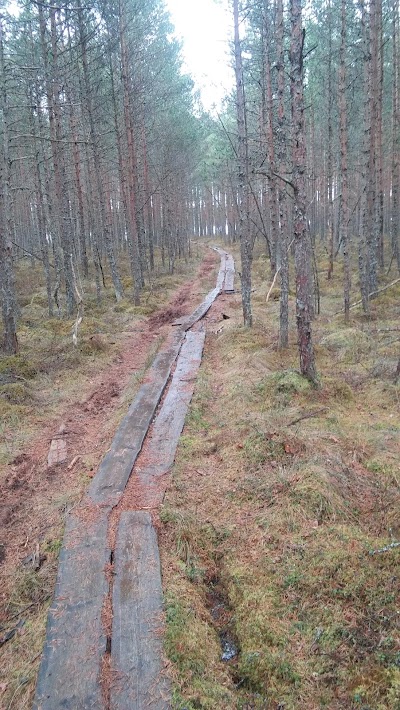 Photos of Mustj&auml;rve matkarada