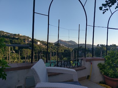 lodging