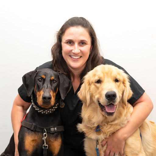 VetLove Bardon Veterinary Clinic - Thumbnail