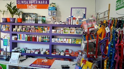 Photos of Veterinaria Curarvet