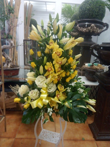Flors Amanda - Thumbnail