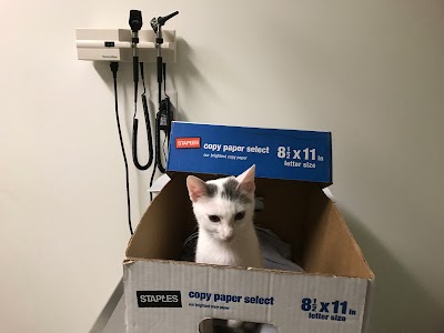 Photos of Alliance Animal Health Center