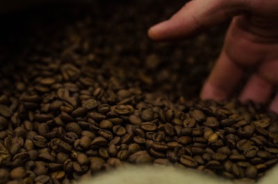 Photos of Caf&eacute; Cumbal