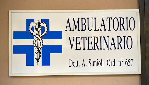 Simioli Dr. Arcangelo - Thumbnail