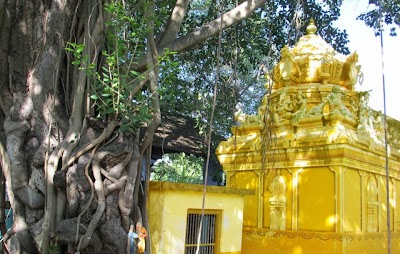 Photos of Thampuruvalai Sri Siththi Vinayakar Kovil