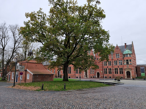 Pingelhus - Visual