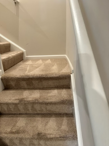 Hampton Carpet Cleaning - Visual