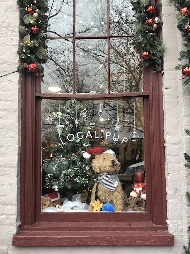 Local Pup - Visual