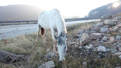 Photos of Dary Travel - Office Vratsa