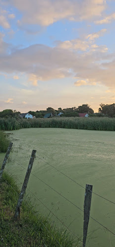 Opiniones de Camping Lo de Melo en Rocha - Camping