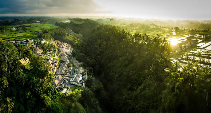 Viceroy Bali by null