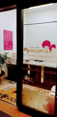 ヤングドライ ピカソこんぴら街道店