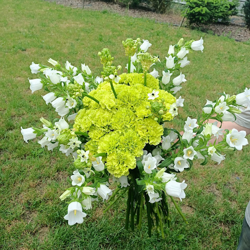 Komentarze i opinie o Gardenia. Kwiaciarnia. Mirosław Lokś