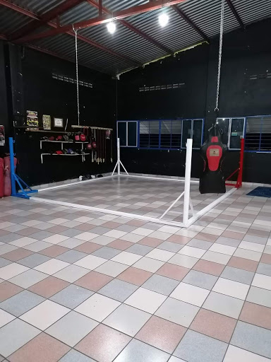 Club De Box Elite's Logo