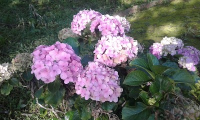 Photos of Esculturas de Xalapa Garden