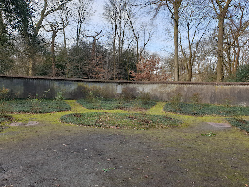 Echobos - Visual