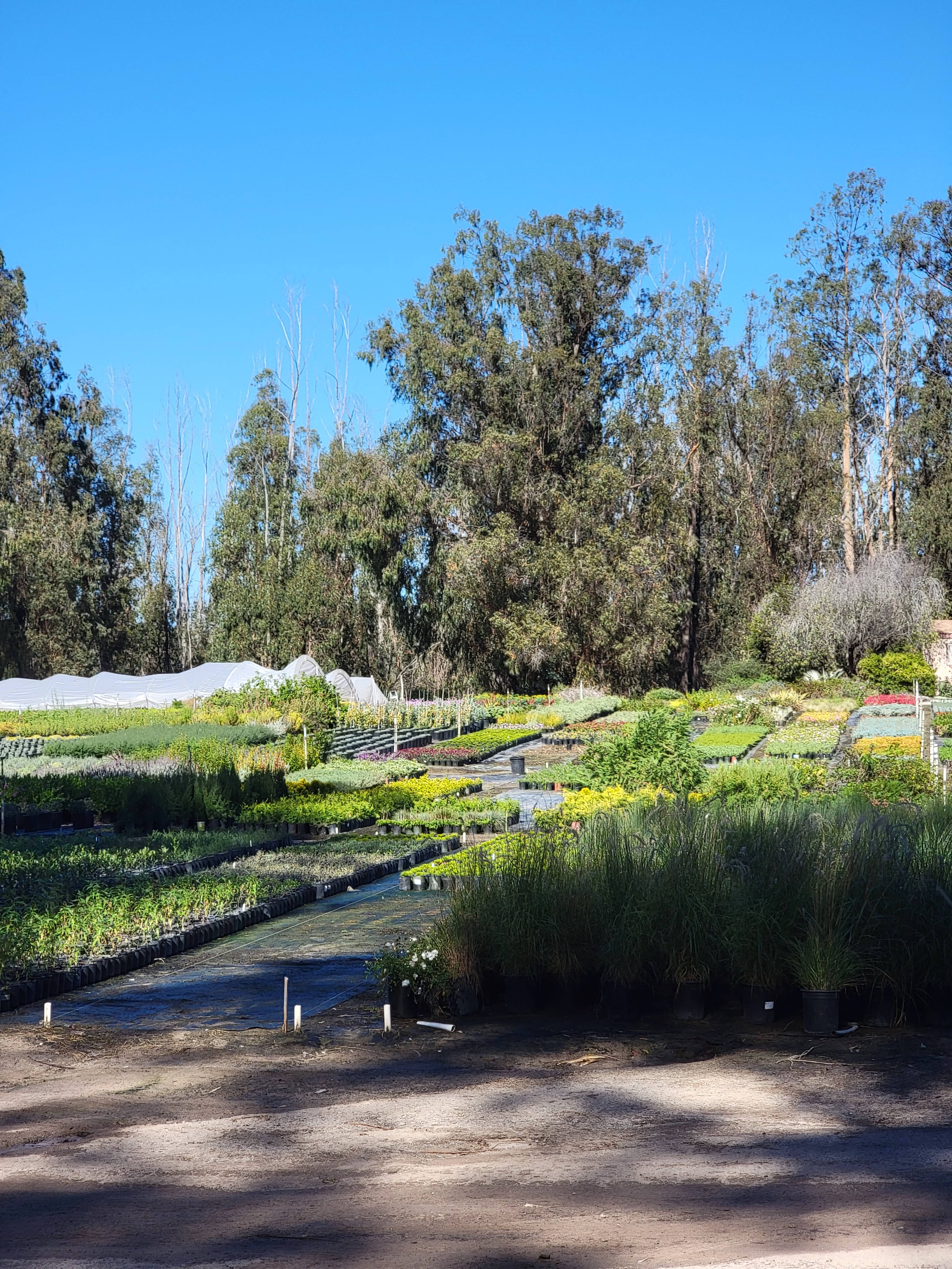J & S Wholesale Nursery