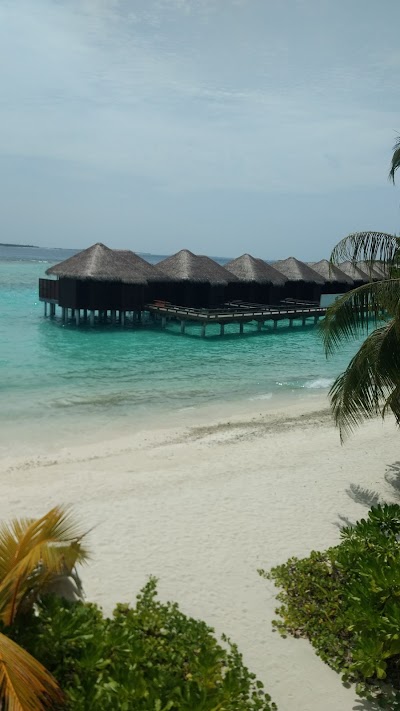 Photos of Baan Thai