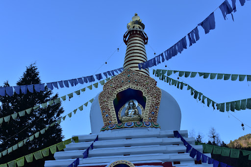 Shangpa Karma Ling Institute