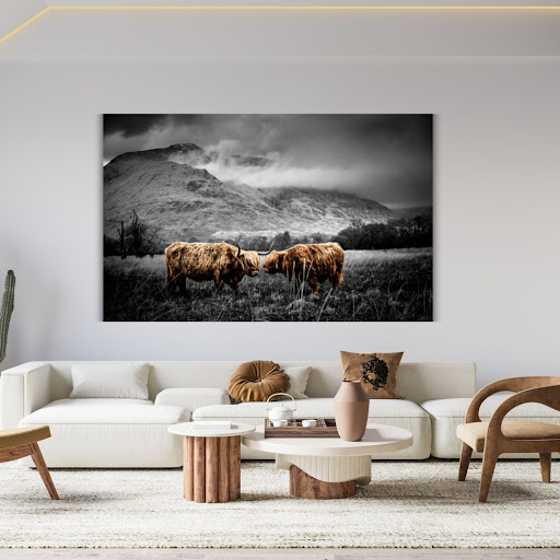 Canvasso - Visual