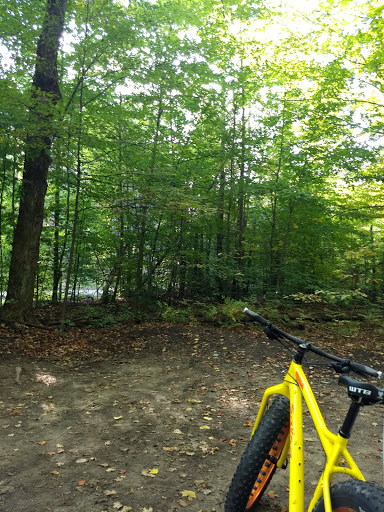 Boyne Forest Trail - Thumbnail