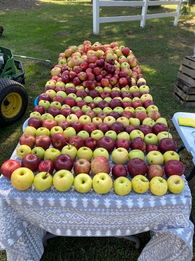 Bradshaw Farms 4U - Thumbnail
