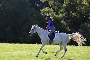 Photo n°21 de Ferme équestre des Ribieres à Saint-Genest-sur-Roselle (Centre de randonnée équestre)