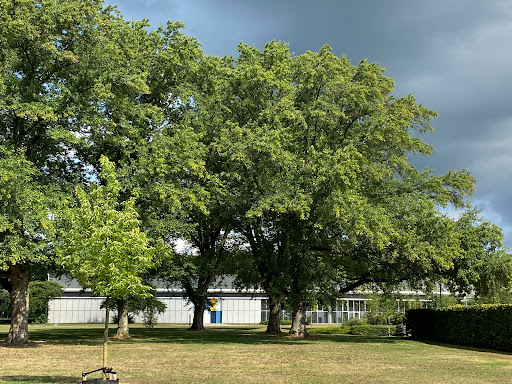 Bruns B.V. - Thumbnail