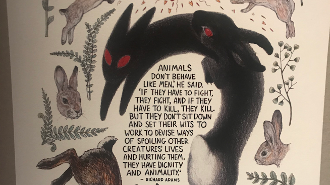 Black Rabbit by null