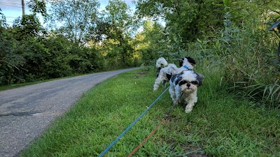 Oak Shores Park