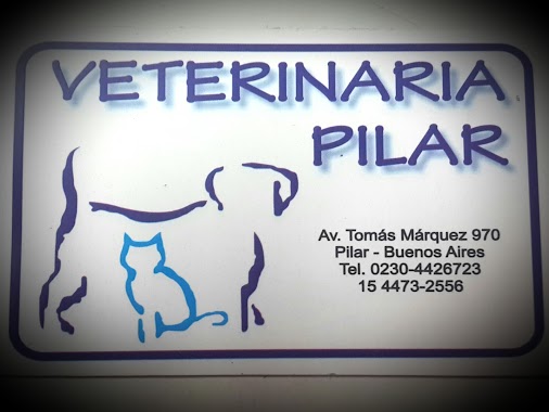 Veterinaria Pilar, Author: Delfina Gazzaneo