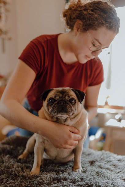 Anais Rochette Ostéopathe pour animaux