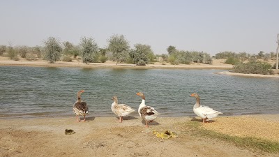 Photos of Al Qudra Lakes East