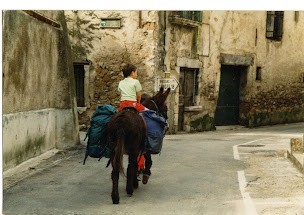 Photo n°6 de A la Ser'âne. Garrigues Cévennes Larzac. Ânes et randonnées. à Saint-Jean-de-Buèges (Centre de loisirs)