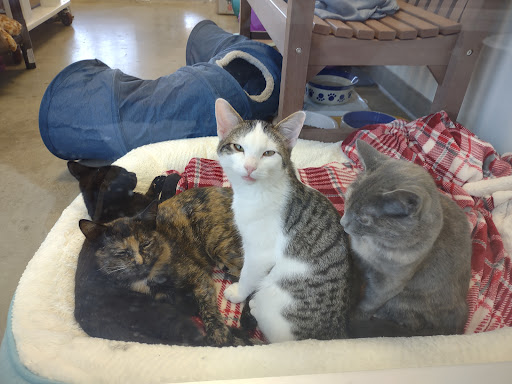 Iowa City Animal Care and Adoption Center