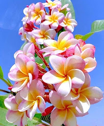 Photo n°22 de L'EVASION à Cuxac-Cabardès (Hôtel)