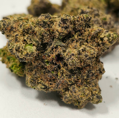Photo of Holyoke Cannabis Dispensary
