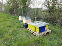 Les Ruchers De La Fuie à Bouessay