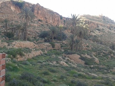 Photos of مدرسة عقبة بن نافع