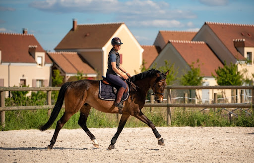 Ventu'Riding