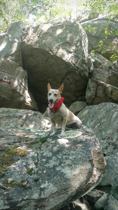 Photos of Tory Rocks Property