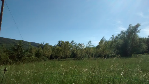 Aviados - Visual