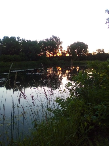 Hennepin Canal - Bridge 4 - Thumbnail