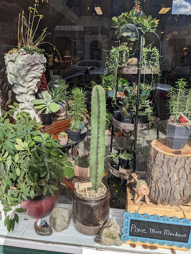 Pixie Moss Meadows - Visual