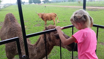 Photos of Dutch Creek Farm Animal Park