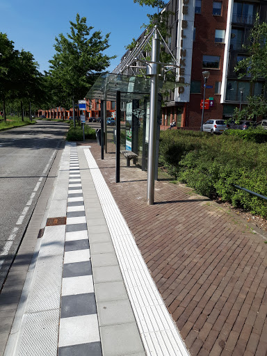 Eindhoven, Grasrijk - Thumbnail
